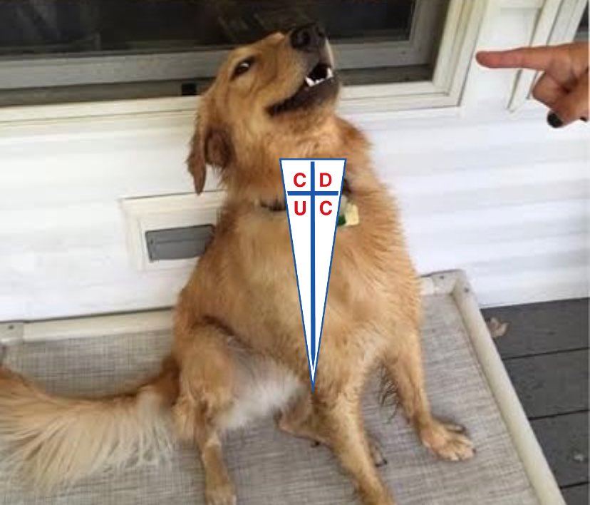 marcelismo26's tweet photo. hay que ganarle a colo colo como sea la próxima semana, no vayan a cagarla. https://t.co/F27KCU3t7O
