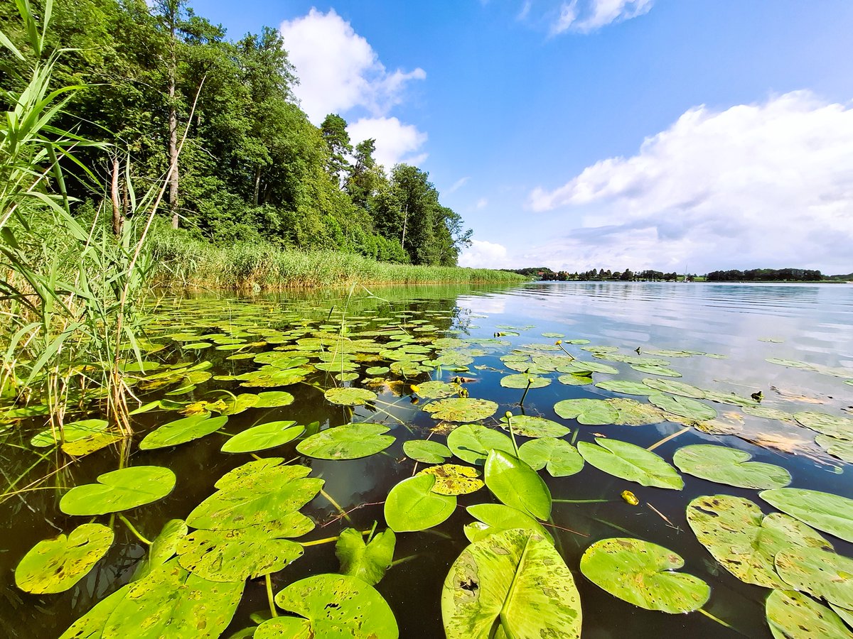 First stop of our 4EU+ project: Poland! 🐌🦆
We met with <a href="/ania_karnkowska/">Anna Karnkowska</a> (thank you!🙏🏻) to exchange knowledge on bird schistosomes and swimmer's itch and, mainly, share our experience with water filtration and #eDNA detection. 🧬