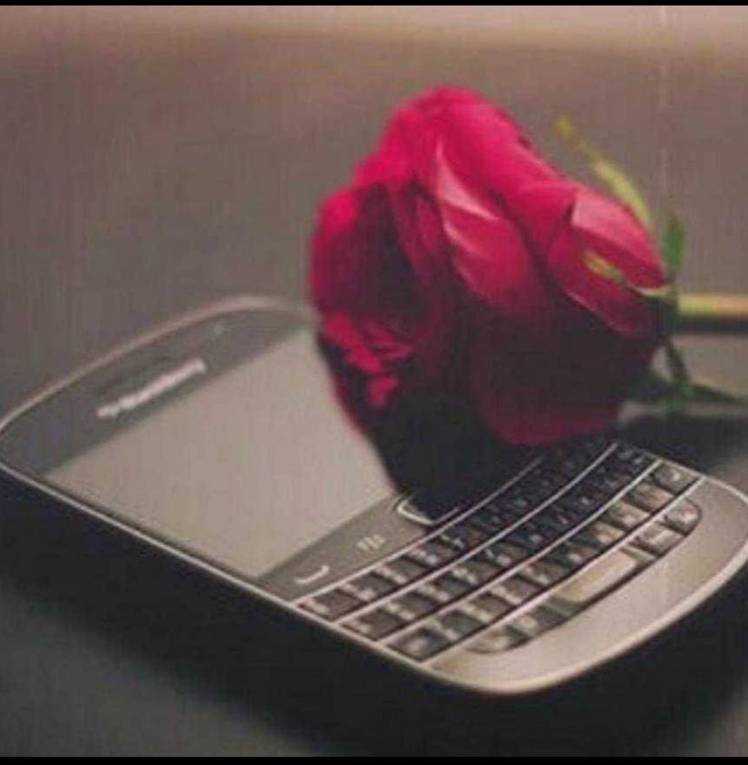 NoNa75495766's tweet image. .
.
..
#راقت____لي 
.
.
لا تحرق كتابك ...من أجل ورقة خاطئة....
         فقط اطويها بلطف ....❤️
.
.
..