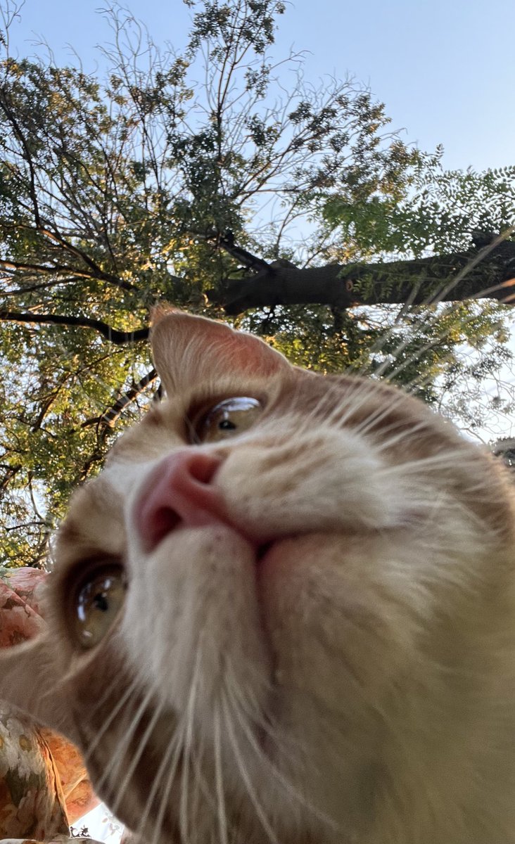 Aşırı tatlıı,abartmıyorum