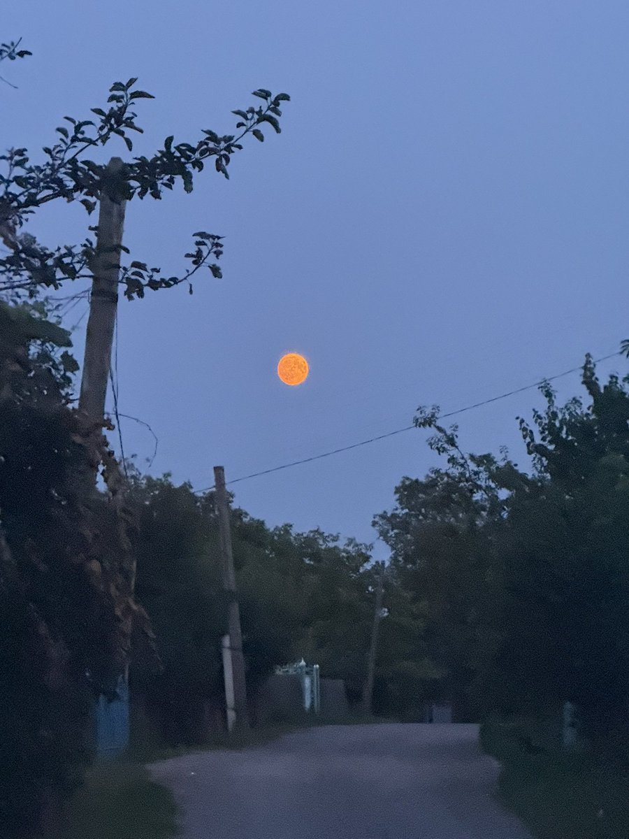 "Червоний місяць", або "Кривавий місяць" - це народна назва, яка використовується для опису повного місячного затемнення. Під час повного місячного затемнення Земля опиняється між Сонцем і Місяцем, відкидаючи тінь на Місяць. Замість того, щоб повністю зникнути з неба, Місяць