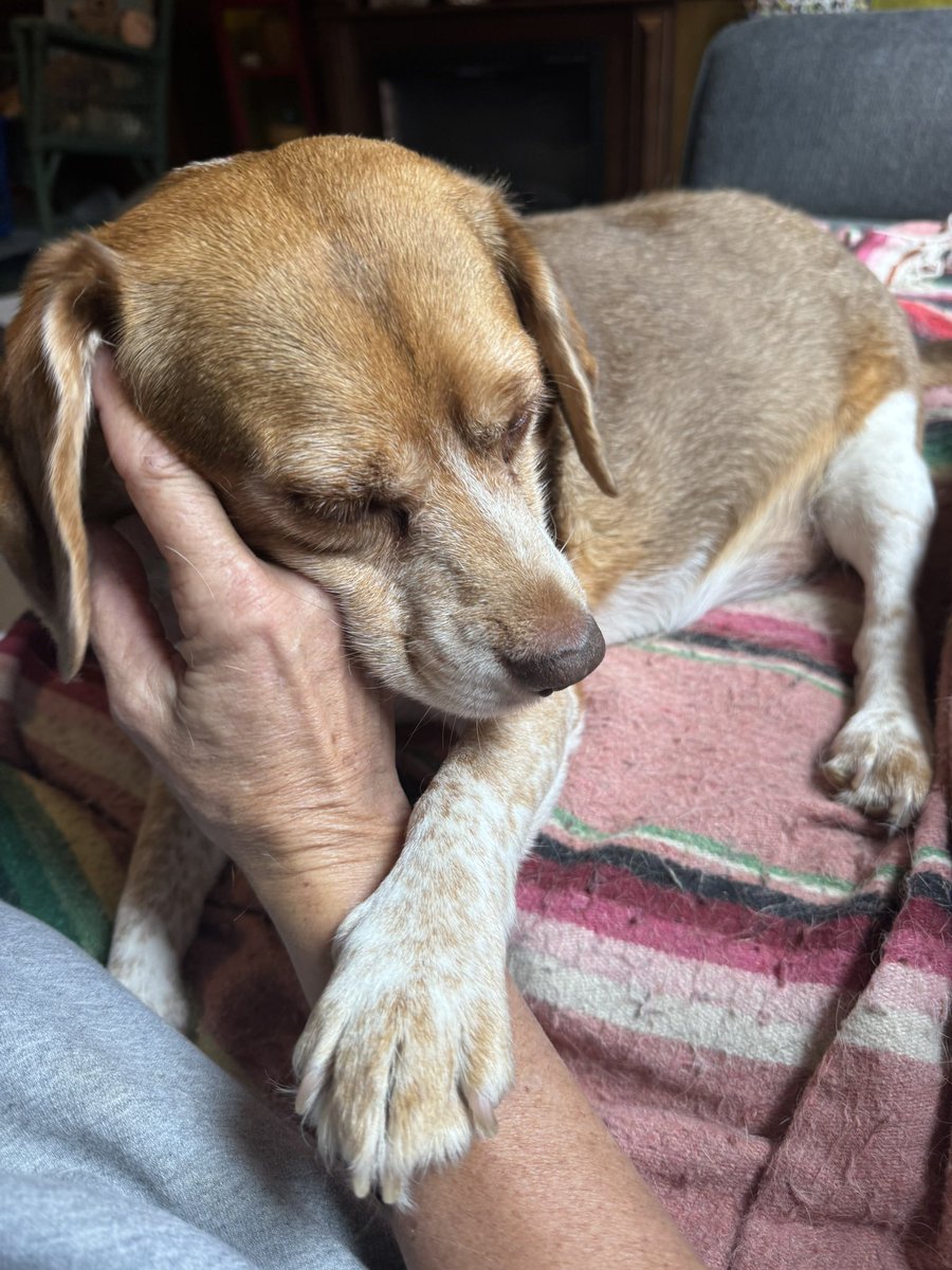 My sweet boy❤️  #Mac