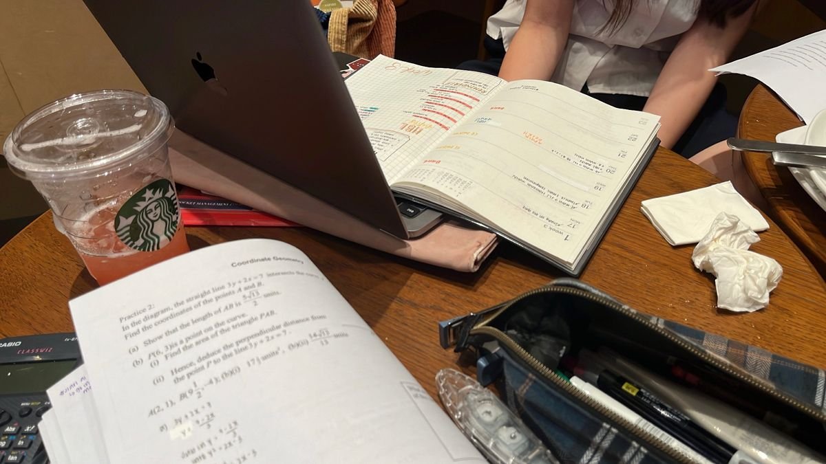 madeleine✶ tweet media