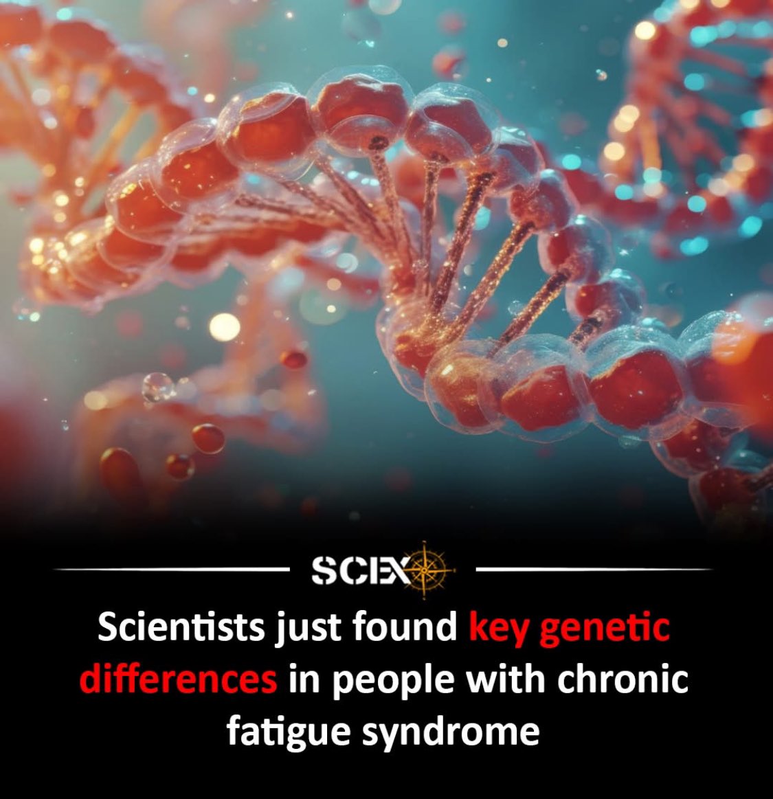 ToraDesign_'s tweet image. #cfsme #MyalgicEncephalomyelitis #gaslitbydoctors #cureme