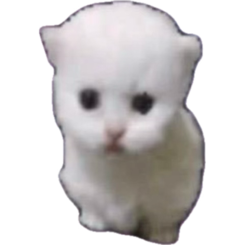kat tweet media
