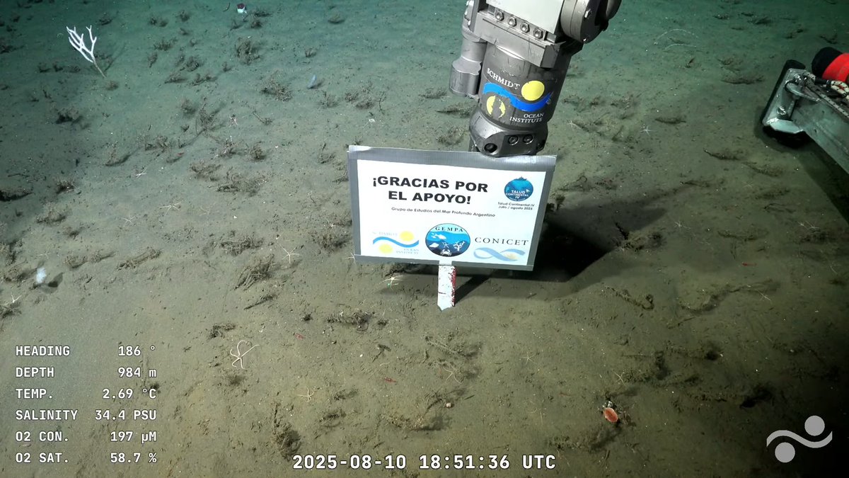 Fin de la expedición de CONICET <a href="/CONICETDialoga/">CONICET Dialoga</a> junto al Schmidt Ocean Institute <a href="/SchmidtOcean/">Schmidt Ocean</a>... hermoso
.
.
#Conicet #SchmidtOceanInstitute #FondoDelMar #BuenDomingo