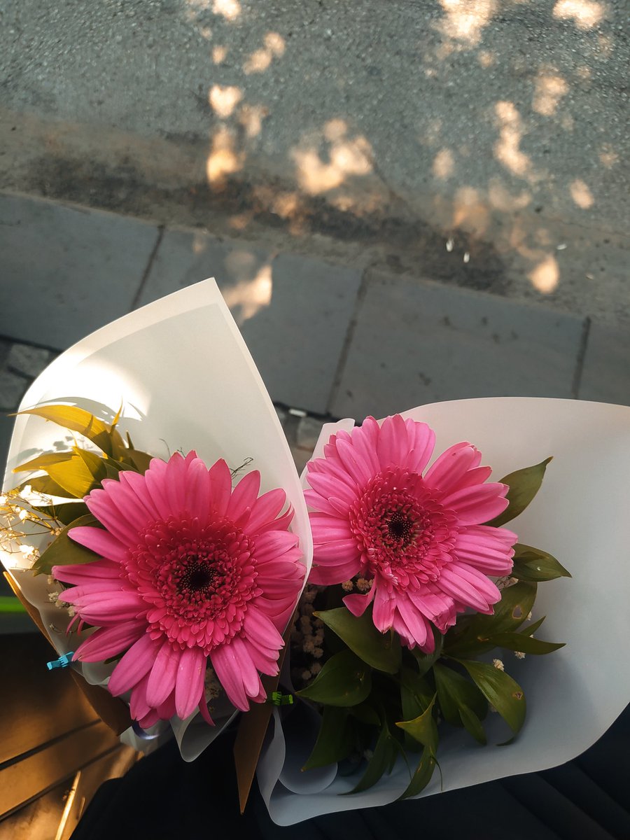 🌷💖✨🎀🍃💝🌺🦋🌸🌼🤍