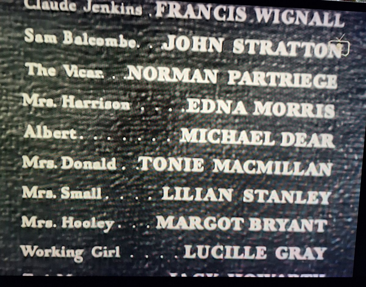 VelvetyMole🌻🌼🌷⚘️🌳🍃🍂🌱🍁 tweet media