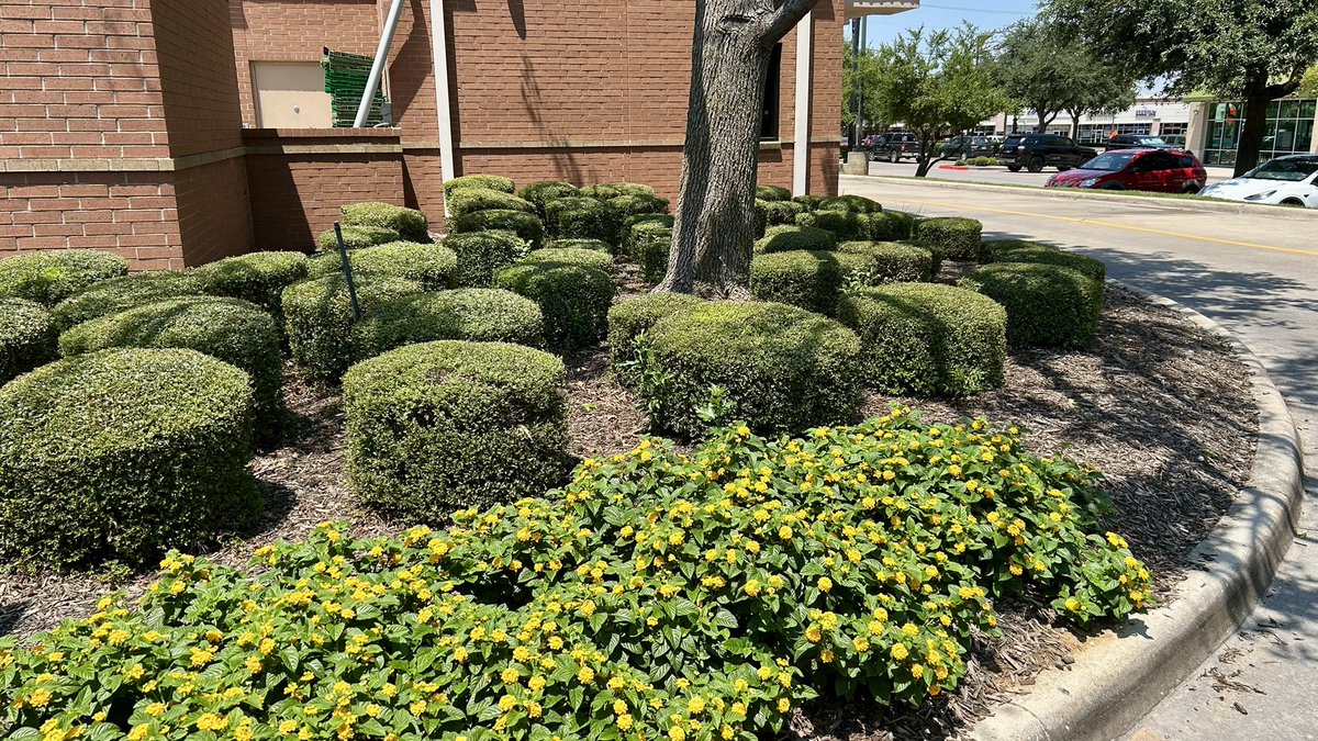 Shawn Sutherland, 4X SF Cert, 1X Ranger tweet media