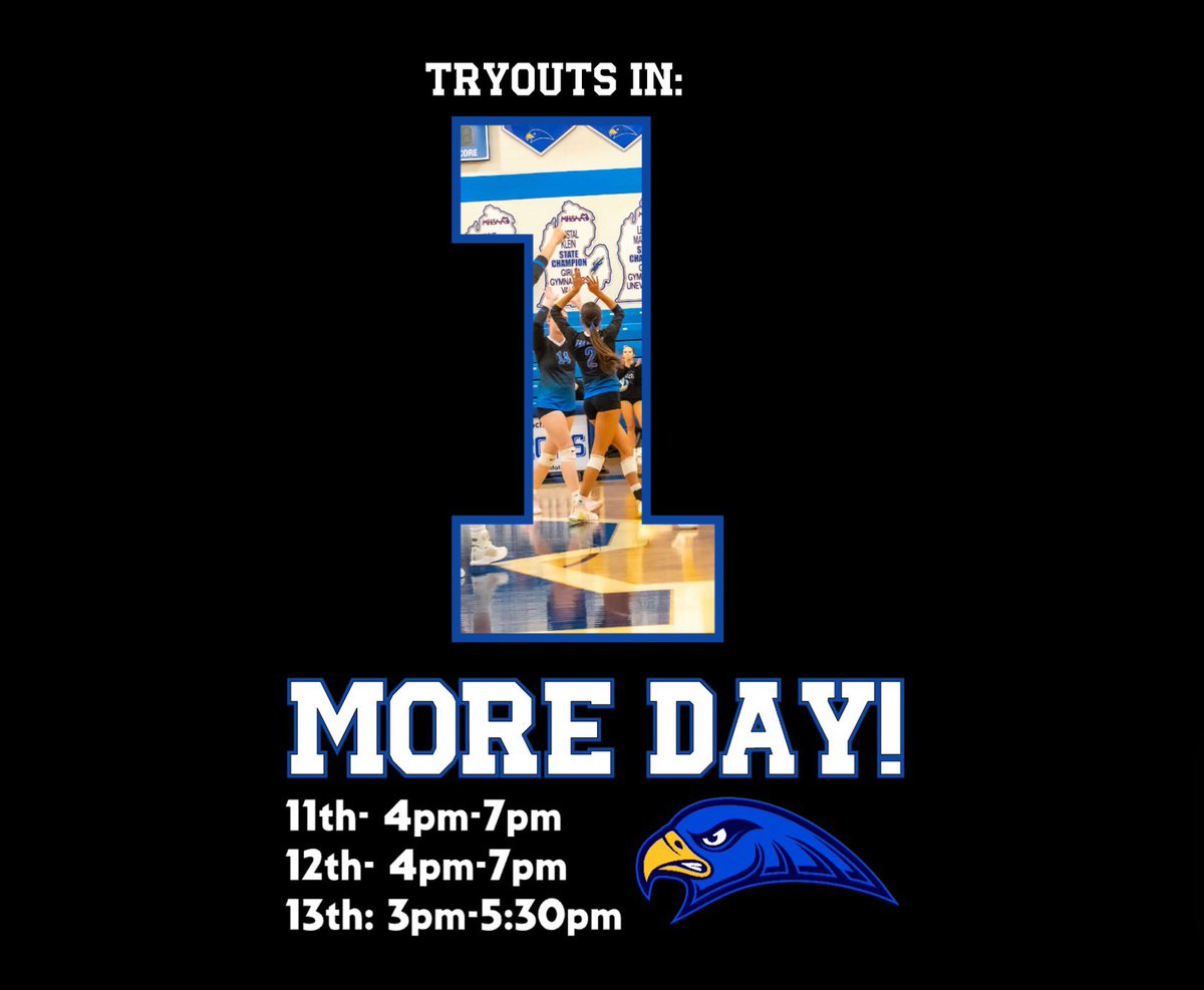 Rochester Falcons Volleyball Program tweet media