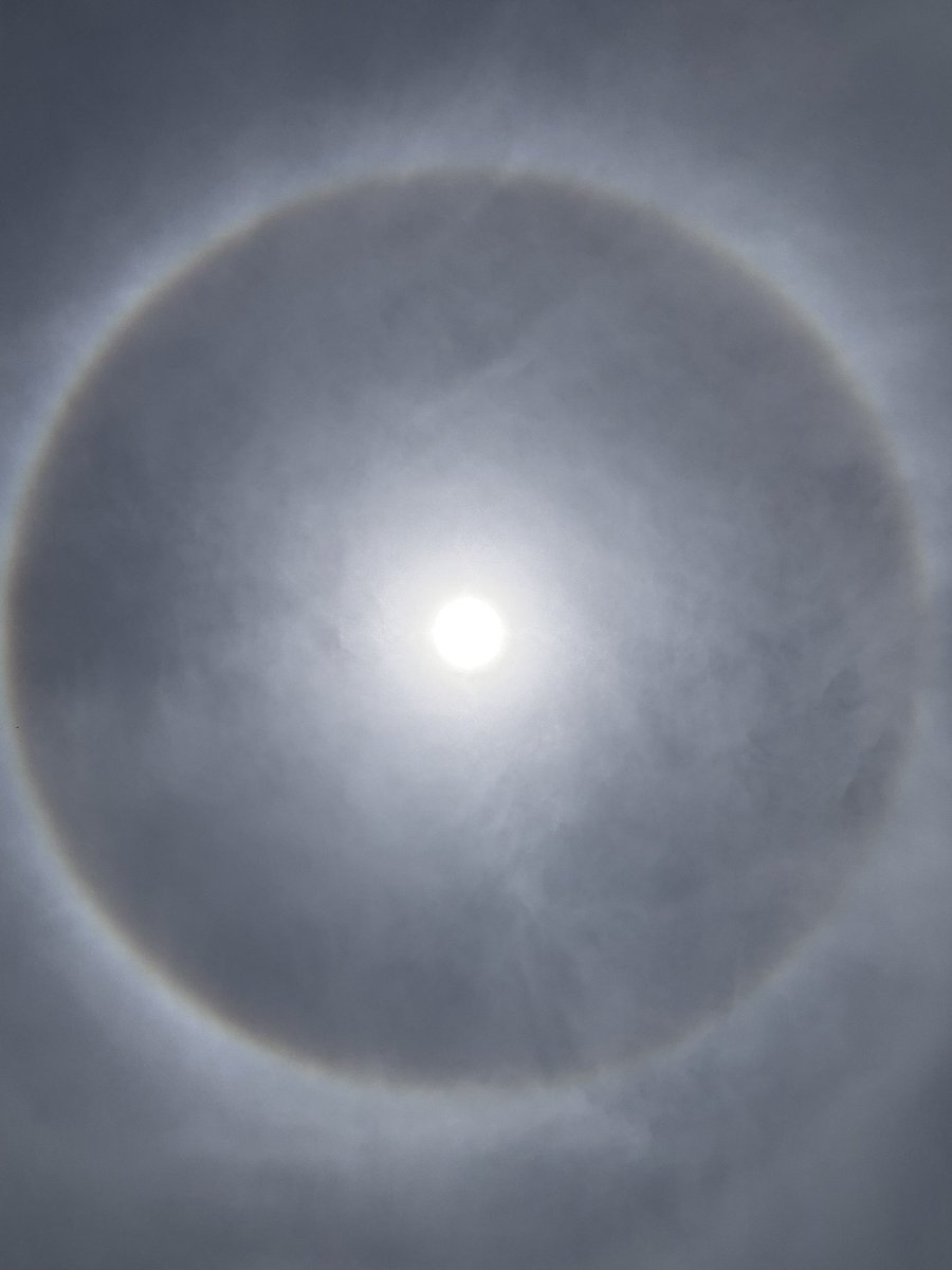 zipernauta's tweet photo. Así el cielo de #Queretaro en este momento, un #halo solar  @nmasforo @AlertaQro @ADNQro @PublimetroQro @AztecaQueretaro véanlo con precaución!!! @InfoMeteoro @SoyTlaloc https://t.co/ZpwsbNwvbI