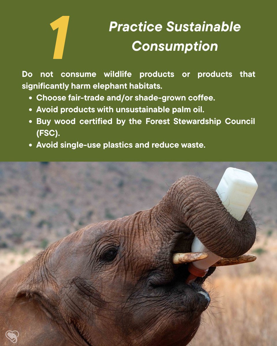 wrldelephantday's tweet photo. How can you help elephants? 🐘

🌱 Choose products that protect habitats
📚 Share what you learn
💗 Donate: https://t.co/8zgIJQQNHx
🌍 Pick ethical tourism
🤝 Support community-led conservation

Every action helps. 🩷
#WorldElephantDay is this TUESDAY, Aug 12! https://t.co/KGKOF9vDYU