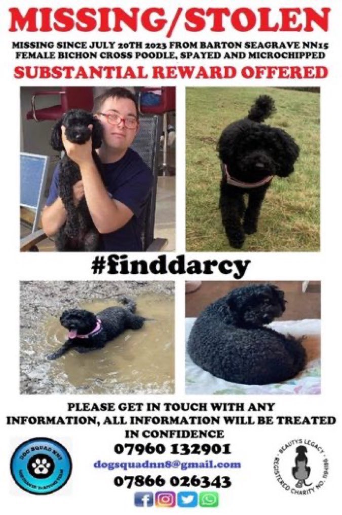 LisaClareRead2's tweet photo. Please RT and help #FindDarcy
Missing over 2 years since 20th July 2023 from #BartonSeagrave #NN15 area of #Northamptonshire 
Darcy is a female black #Poodle / #Bichon cross. 
Have you seen her 👀 ?
Please report sightings to numbers on poster below ⬇️ 
#stolendoghour https://t.co/JtIKd1Rl2v