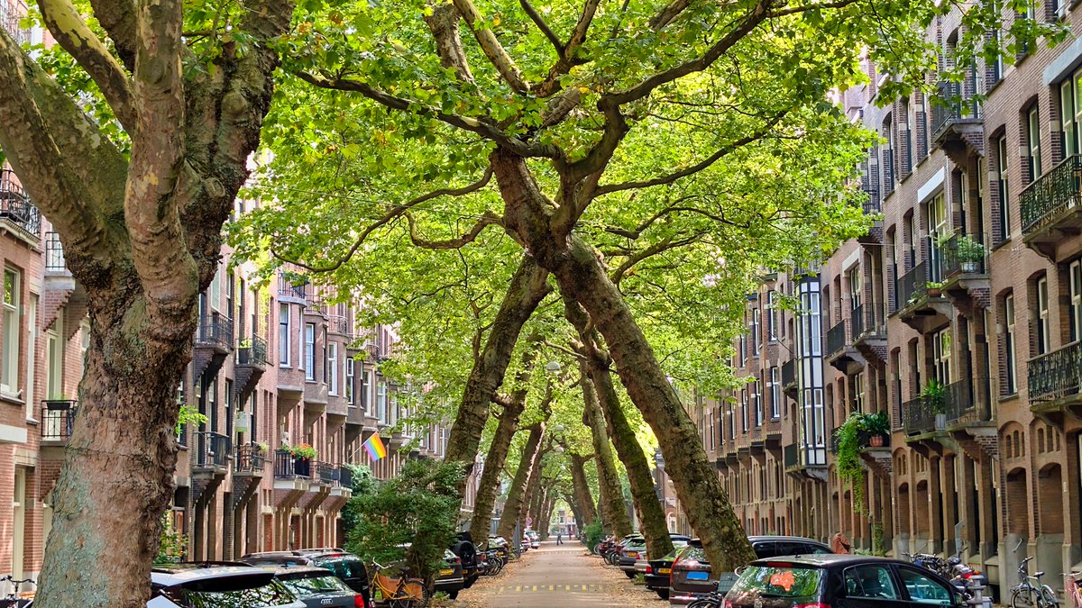 verawandelt's tweet photo. Dit weekend wandelde ik door Amsterdam Zuid tijdens ArtZuid 2025. Langs groene lanen en indrukwekkende beelden, van het Olympisch Stadion tot de Apollolaan. 
Blog👇
https://t.co/XjIRw0hAuz
@ZuidasAmsterdam @hellozuidas @artzuid @Iamsterdam @AmsterdamKunst https://t.co/6QN69NSEhs