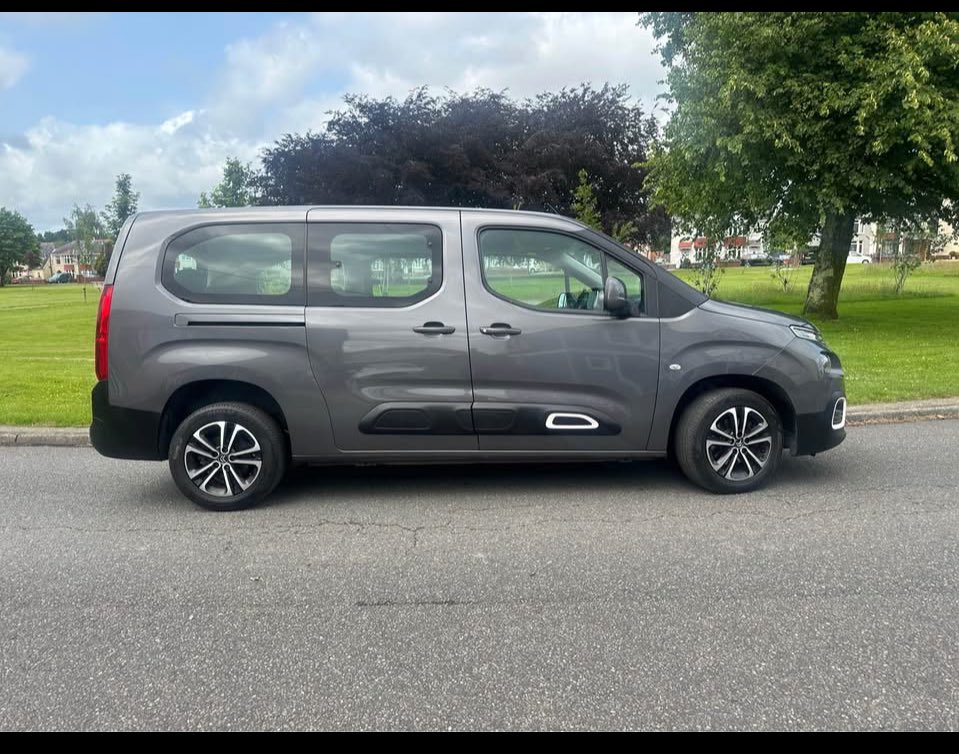 Carrot Cottage Rabbit Rescue tweet media