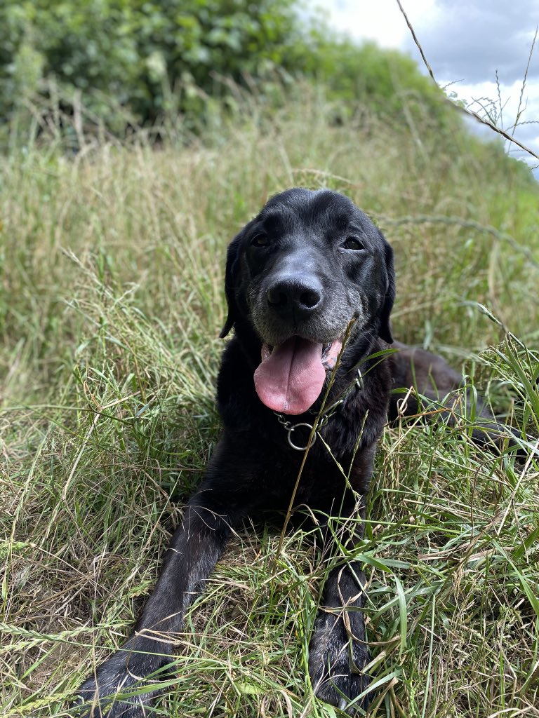 lwelsh 🇺🇦🌻 tweet media