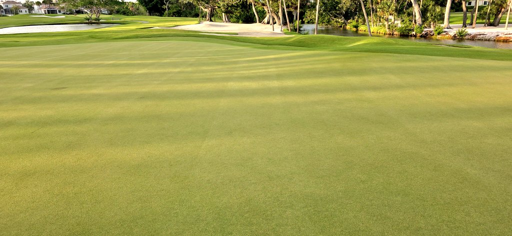 turfmonkeyboy's tweet photo. Back from working on the road the latter part of the week. Harbourside looking pretty good, thanks to the Supers and the CRU. Special thanks to the TECHKNOWS for the #cutline. Trying not to live and die on one measurement but firmness is really soft if you know what I mean https://t.co/V3w8jGZqEW