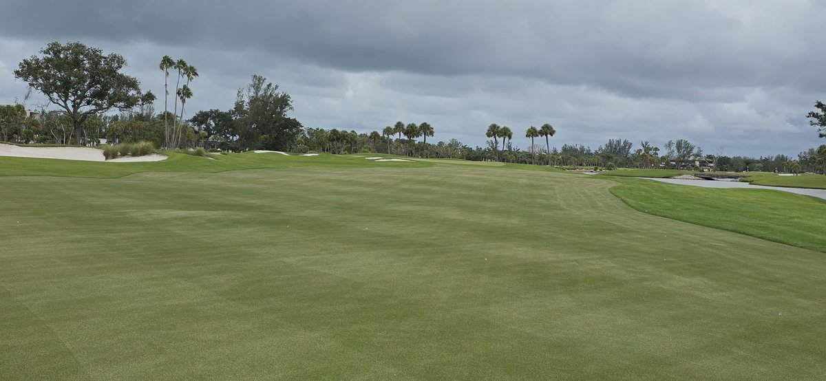 turfmonkeyboy's tweet photo. Back from working on the road the latter part of the week. Harbourside looking pretty good, thanks to the Supers and the CRU. Special thanks to the TECHKNOWS for the #cutline. Trying not to live and die on one measurement but firmness is really soft if you know what I mean https://t.co/V3w8jGZqEW