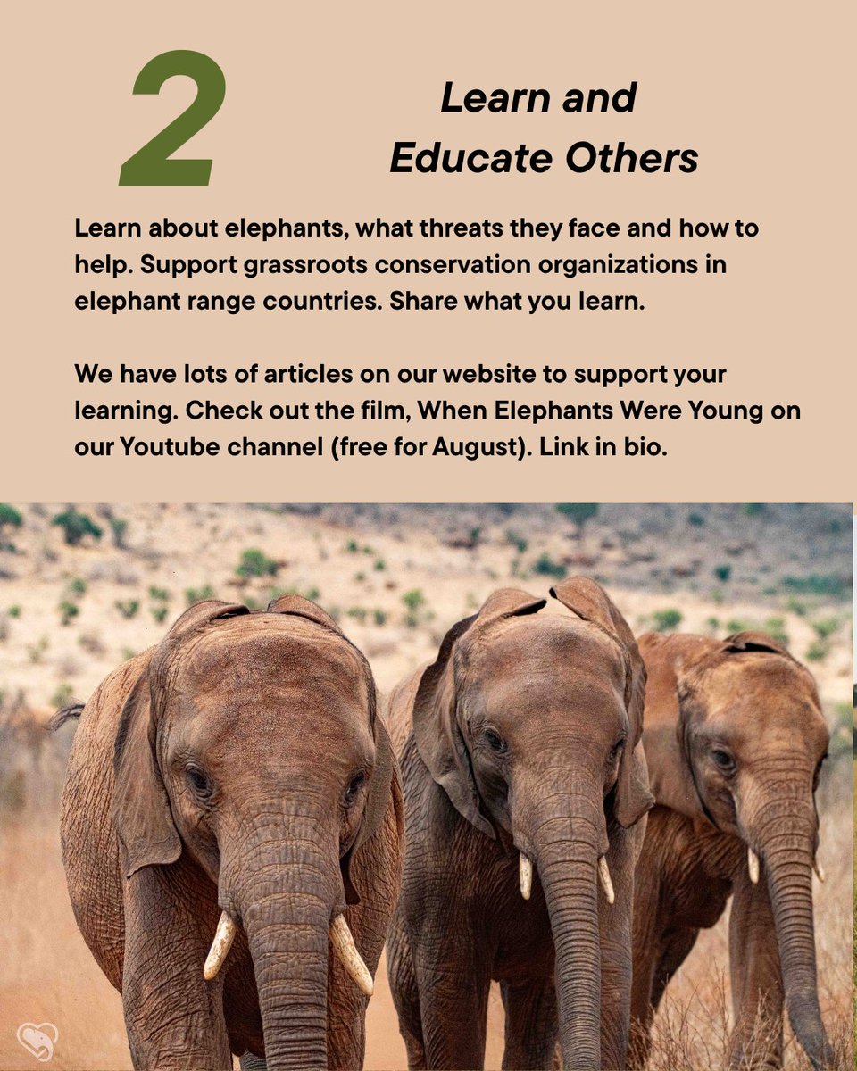 wrldelephantday's tweet photo. How can you help elephants? 🐘

🌱 Choose products that protect habitats
📚 Share what you learn
💗 Donate: https://t.co/8zgIJQQNHx
🌍 Pick ethical tourism
🤝 Support community-led conservation

Every action helps. 🩷
#WorldElephantDay is this TUESDAY, Aug 12! https://t.co/KGKOF9vDYU