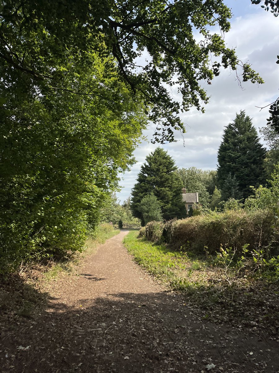 hikingshawty's tweet photo. today i walked 22 miles for my 22nd birthday and i had pizza for dinner!! <3 🍕 https://t.co/ubV3arX5tH