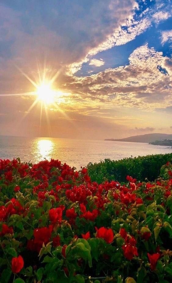 <a href="/tigereyes_g/">𝕲𝖎𝖌𝖎</a> Thanks #Gigi you as well.👋😁