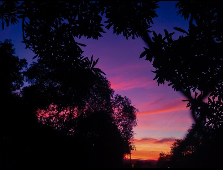 midt67's tweet image. Vei, Tô até que aprendendo a tirar foto 🥹