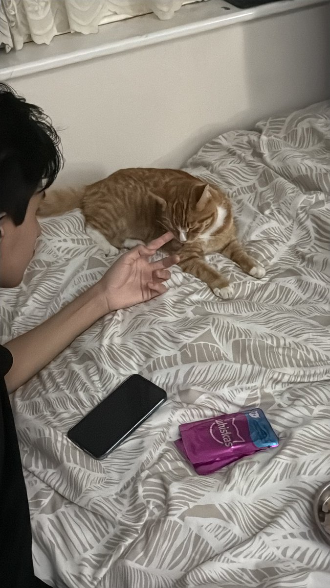 satoruzii's tweet photo. After 25 days, my Daisy finally came home.

The support and love has been unreal across multiple different platforms, this is the greatest day ever. Thank you. 💞 https://t.co/ZQ2uwemgKV