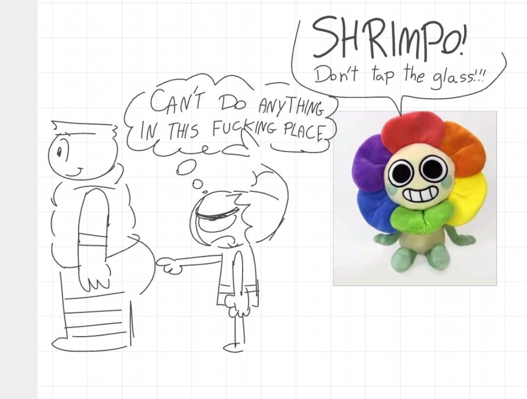 Shrimpbowl whiteboard fox oi gente
