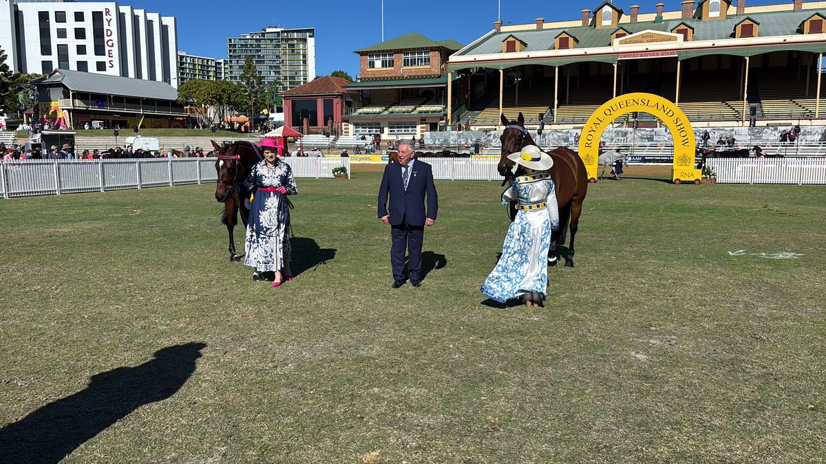 AquisFarm's tweet photo. 🥇Winners on and off the track‼️

A big congratulations to the Aquis bred She’s Our Empress (Ashleigh Brieffies) and Boudica’s Gift (Julie Mitchell) who have been crowned Champion and Reserve Champion thoroughbred mares of the Royal Brisbane Show

#AquisStallions
#OffTheTrack https://t.co/KPOsezq6TB