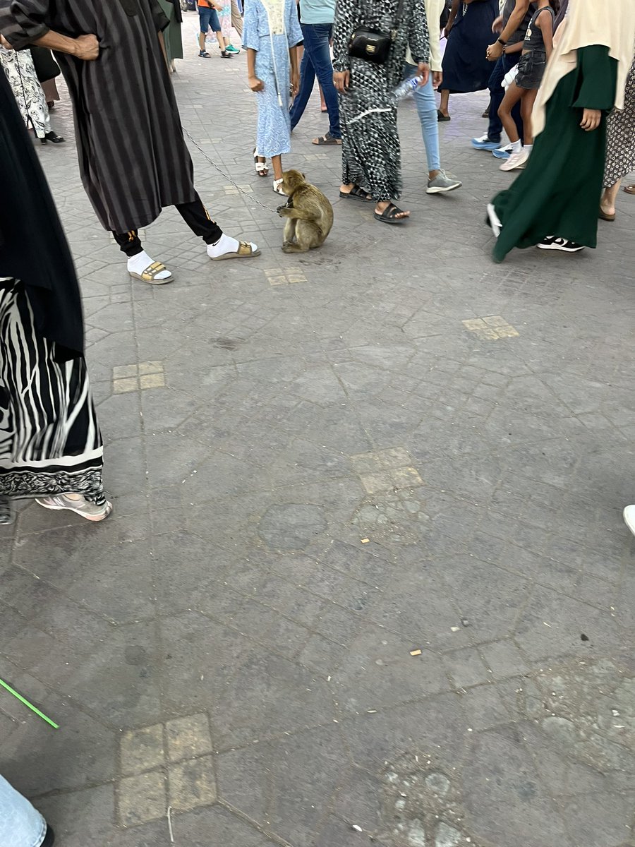 Cheulhi simpson tweet media