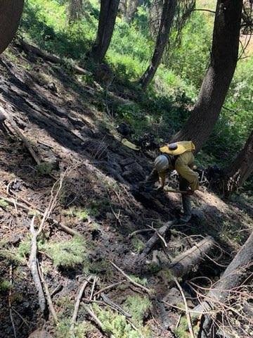 UWCNF's tweet photo. #uwcnf Ogden Ranger District photos of firefighters improving the fireline and extinguishing hotspots on the Perry Fire today, August 10th. Fire is 50% contained and 5.2 acres.
#perryfire #FireYear2025 https://t.co/Qcpr1IYS6q