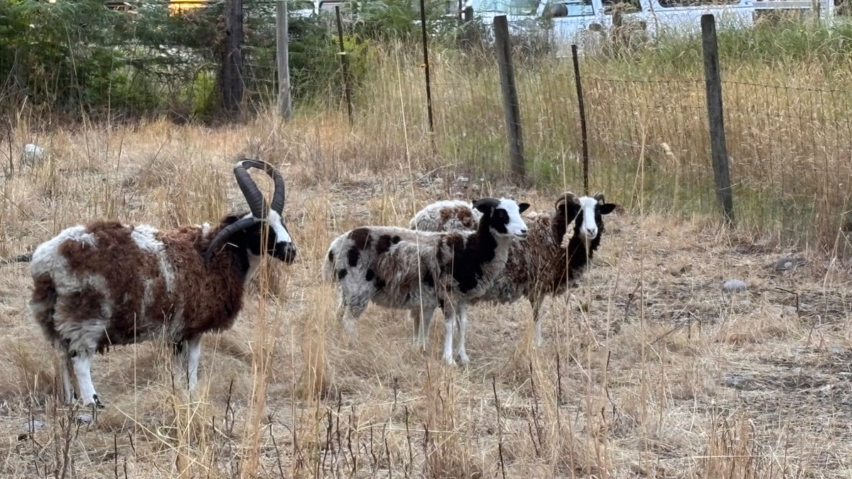 ZeroLoyalty tweet media