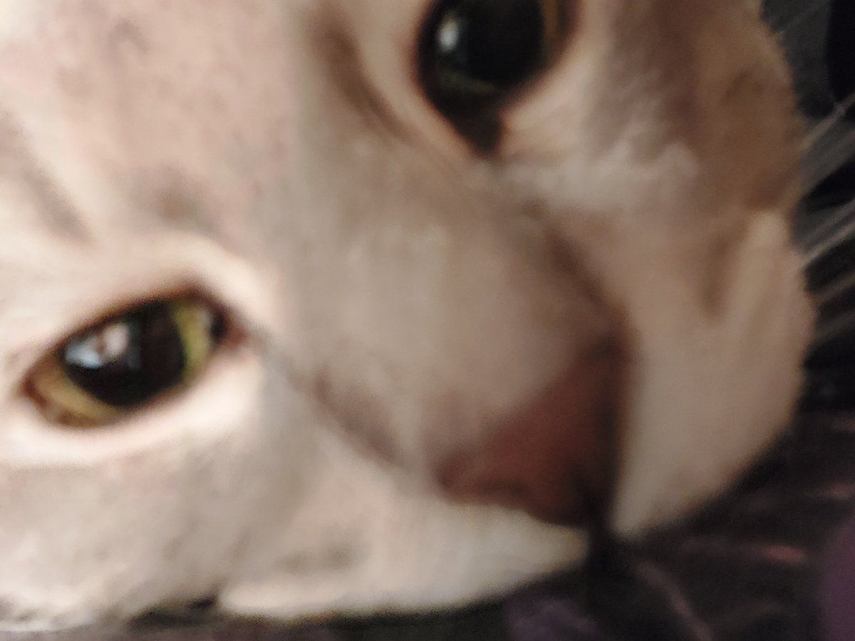 finally deballed him and her are some pictures of him still kinda high from a couple days ago