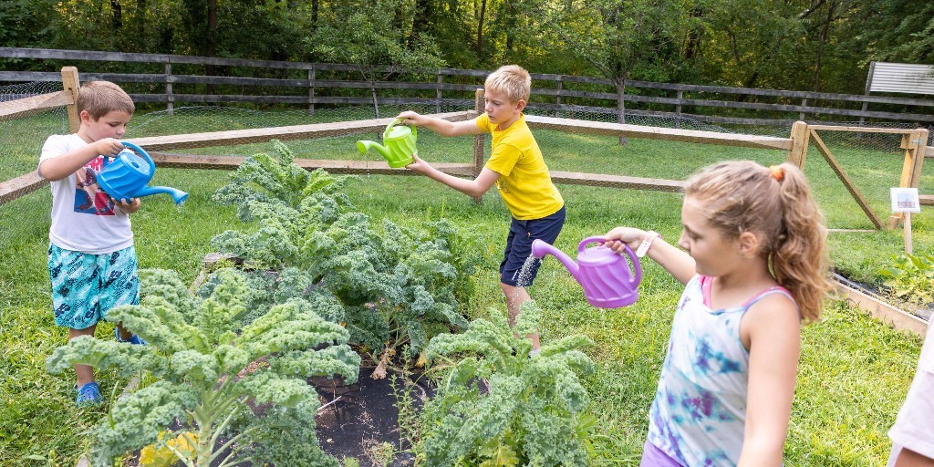 HockomockYMCA's tweet image. Did you know? Camp Elmwood at our North Attleboro Y has its own Education Garden! 🥒🍅
Campers get hands-on with farm-to-table fun—tending the garden, picking crops and whipping up tasty snacks like pickles, kale chips, zucchini rounds &amp;amp; more. #BestSummerEver #YMCA #BeCauseY
