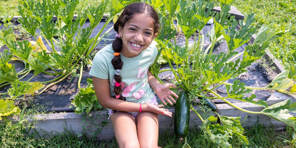 HockomockYMCA's tweet image. Did you know? Camp Elmwood at our North Attleboro Y has its own Education Garden! 🥒🍅
Campers get hands-on with farm-to-table fun—tending the garden, picking crops and whipping up tasty snacks like pickles, kale chips, zucchini rounds &amp;amp; more. #BestSummerEver #YMCA #BeCauseY