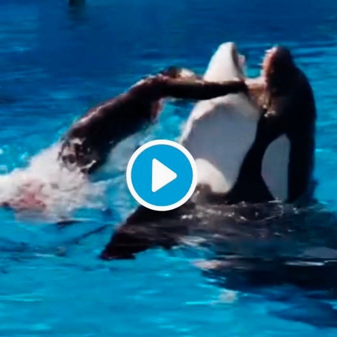 Jayram Krishnan DO MBA tweet media