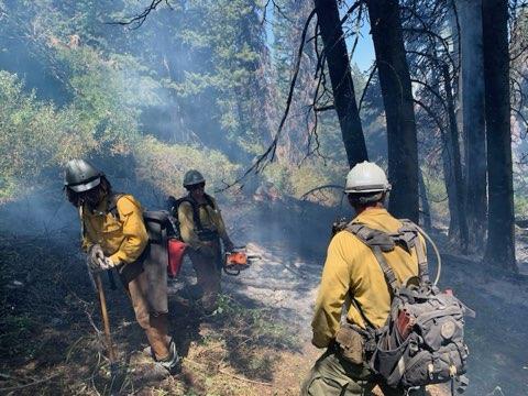 UtahWildfire's tweet photo. #uwcnf Ogden Ranger District photos of firefighters improving the fireline and extinguishing hotspots on the Perry Fire today, August 10th. Fire is 50% contained and 5.2 acres.
#perryfire #FireYear2025 https://t.co/M38V0mHhfG