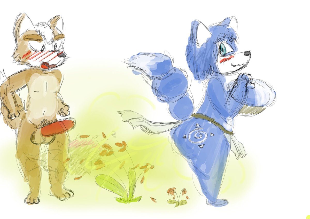 Long haired Fox at a reasonable price 🔞 tweet media