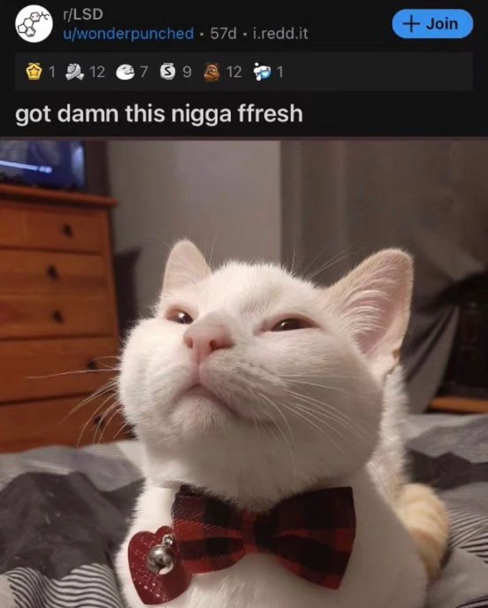 PunchingCat's tweet image. 