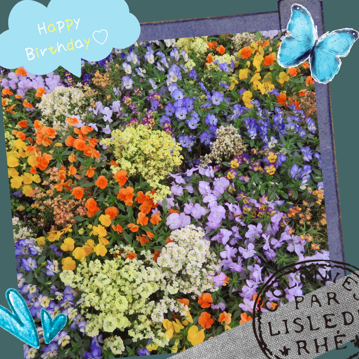 <a href="/denji811/">でんじ(しばらくワンダーに低浮上)</a> 
🎂🥂𝐻𝑎𝑝𝑝𝑦 𝑏𝑖𝑟𝑡ℎ𝑑𝑎𝑦💐🐈‍⬛
でんじさん、お誕生日おめでとうございます🎉✨
幸せがいっぱい訪れますように。
毎日穏やかに楽しく過ごせますように☺💕💕
••✼••┈┈••✼••┈┈••✼••┈┈••✼••┈┈••✼••┈┈••✼••