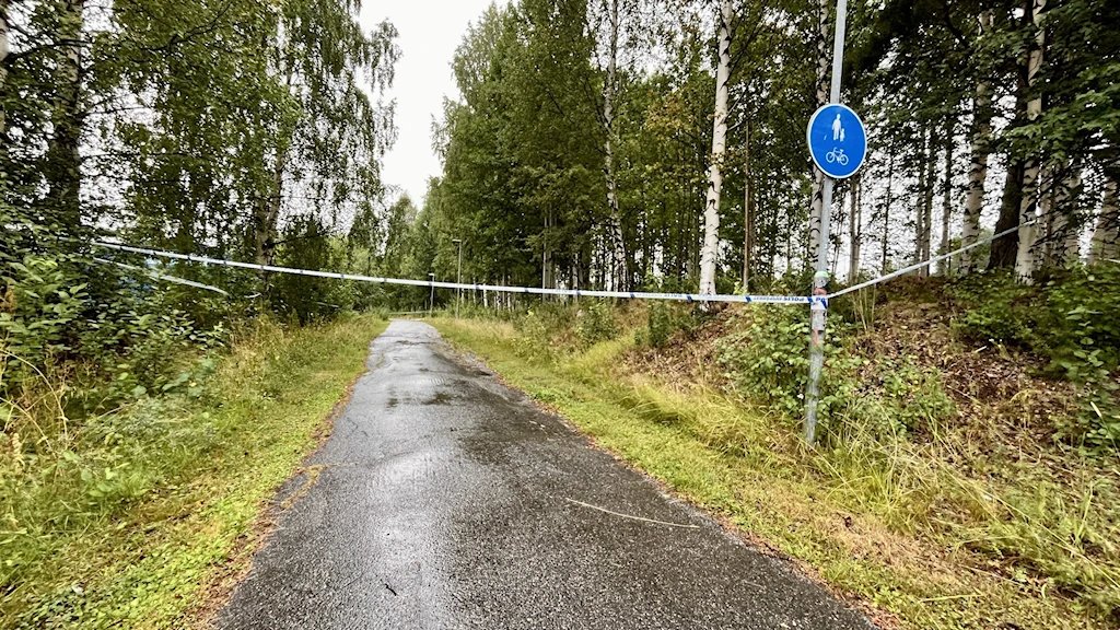 🇸🇪 19-letni Somalijczyk aresztowany za gwałt otrzymał obywatelstwo szwedzkie rok wcześniej.
W niedzielę 10 sierpnia kobieta w średnim wieku została zgwałcona w Skelleftehamn. Sprawca przybył do Szwecji we wrześniu 2020 r. jako nieletni migrant bez opieki, podając się za 14-latka