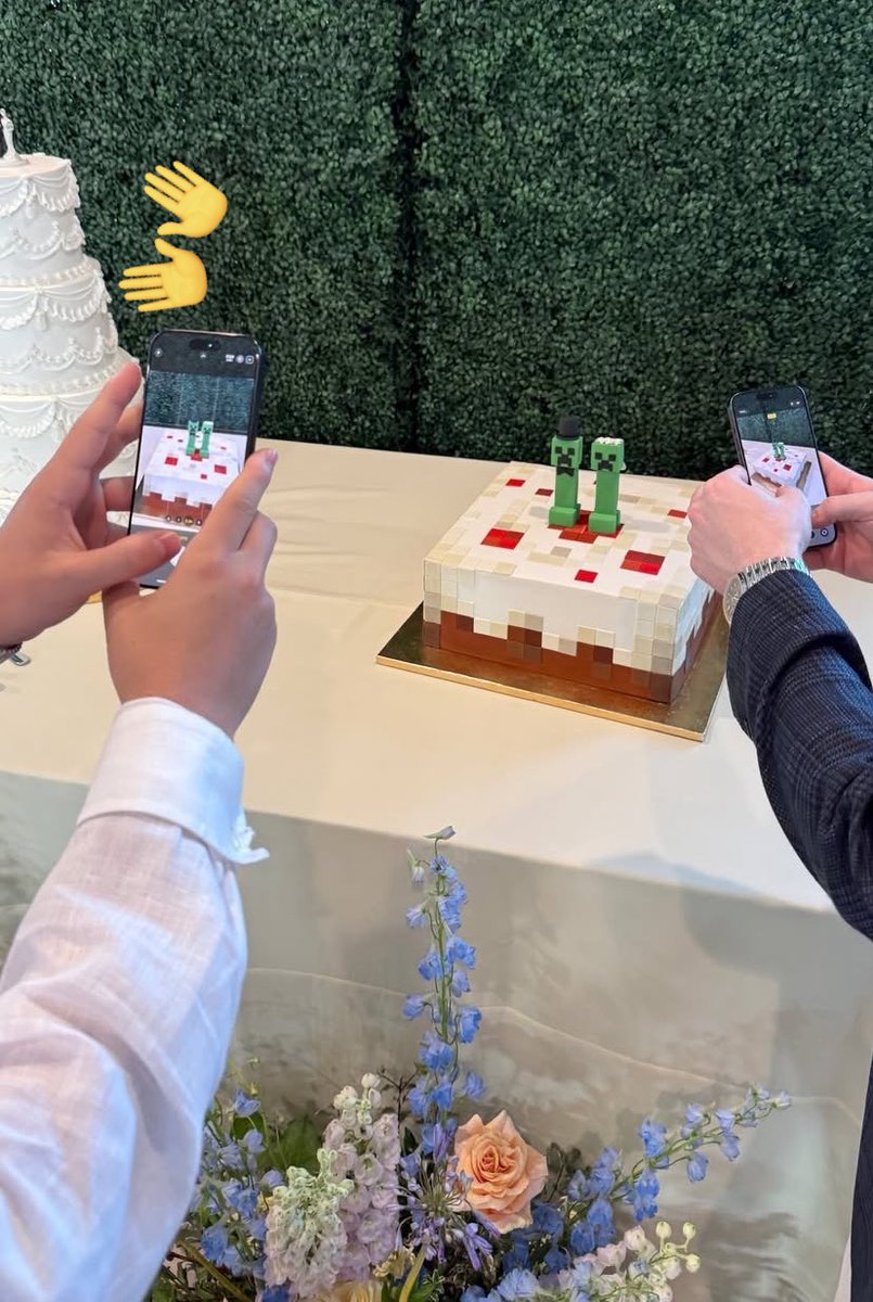SabrinaWastaken's tweet photo. I love how they take pictures of the Minecraft cake and ignore the biggest one https://t.co/QM3lcLgeyG