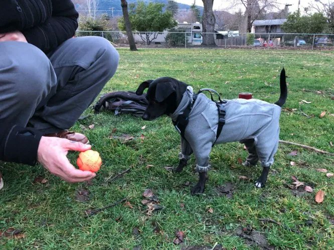 𝕃𝕚𝕝𝕒𝕔𝕝𝕠𝕧𝕖 tweet media