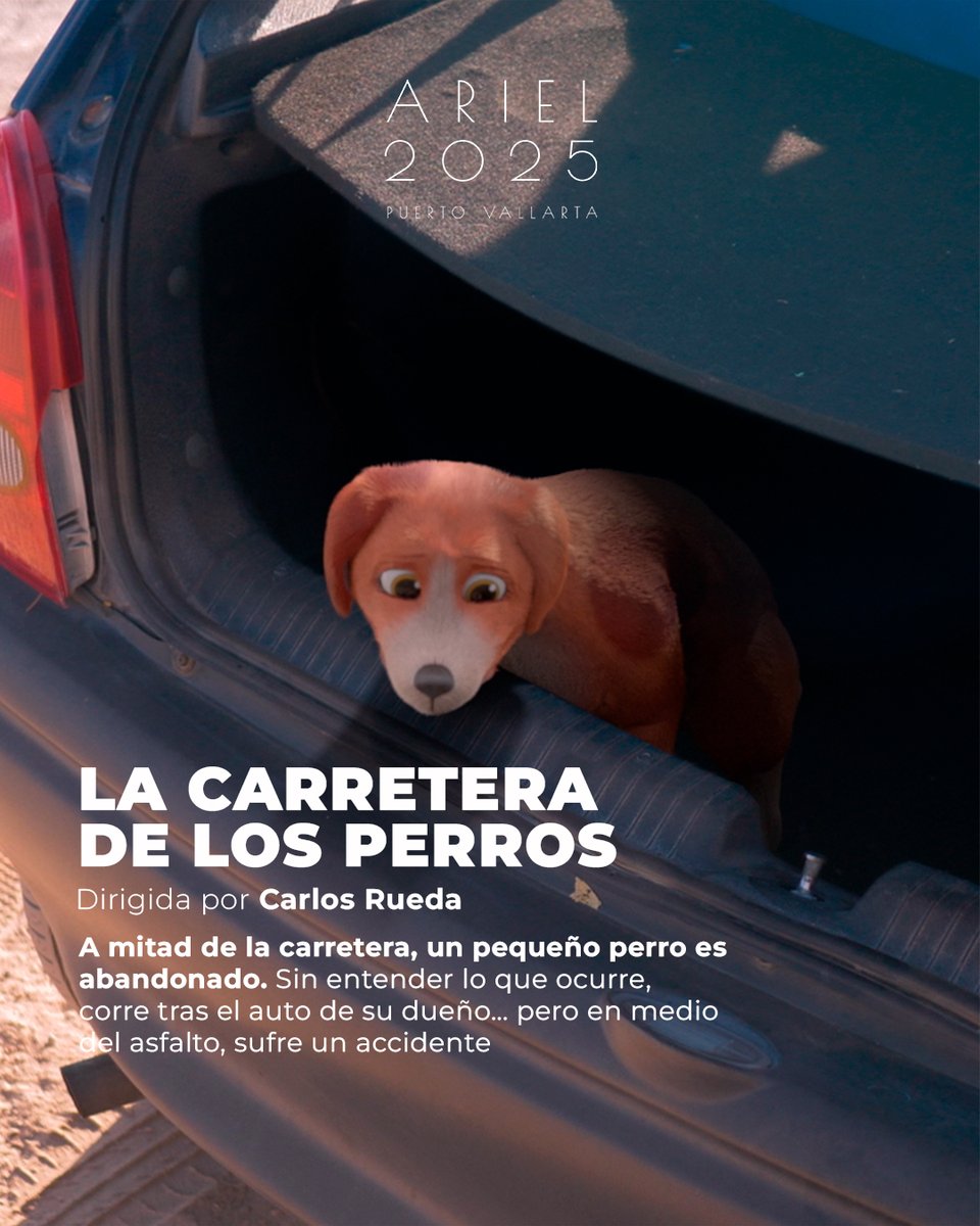 AcademiaCineMx's tweet photo. Cada historia es una experiencia única que refleja la diversidad creativa del cine de animación en México. https://t.co/e9suFTiQTd