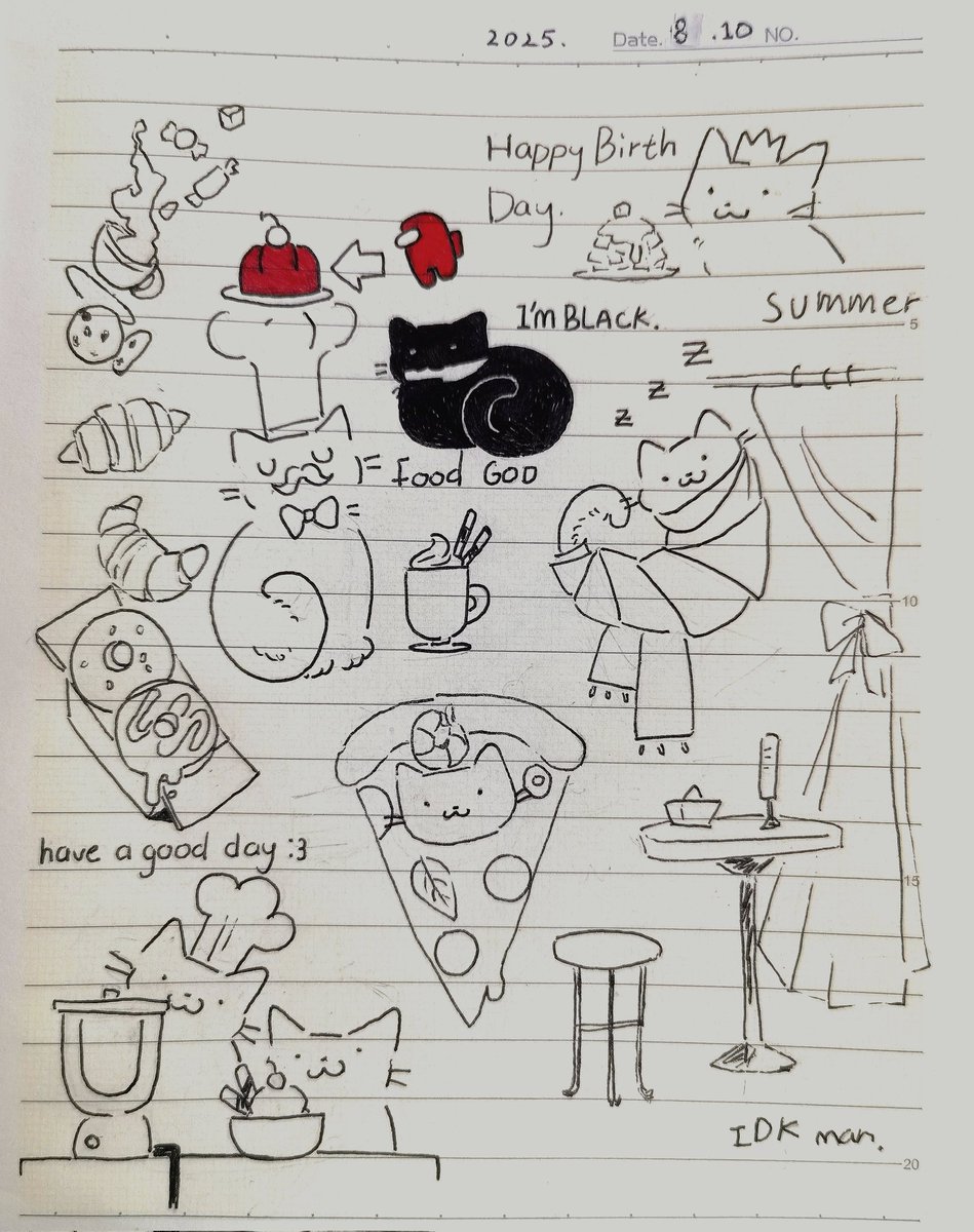 CAT DOODLE🐱