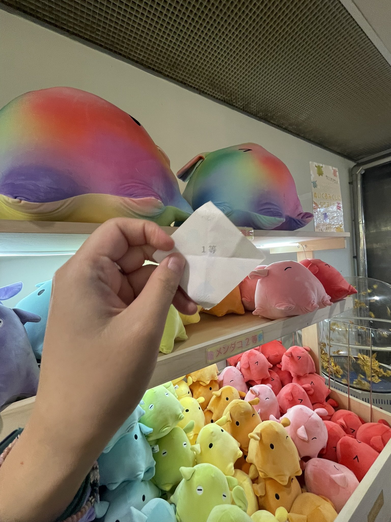 八景島シーパラダイス メンダコ ぬいぐるみくじ しくれ on X: 