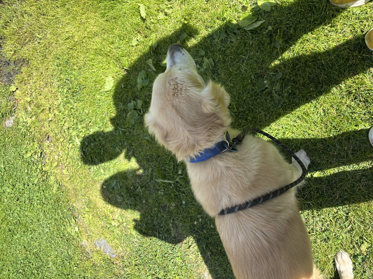 Noi 3 insieme da 10 anni! Montagna! QC terme Monte Bianco ❤️❤️❤️