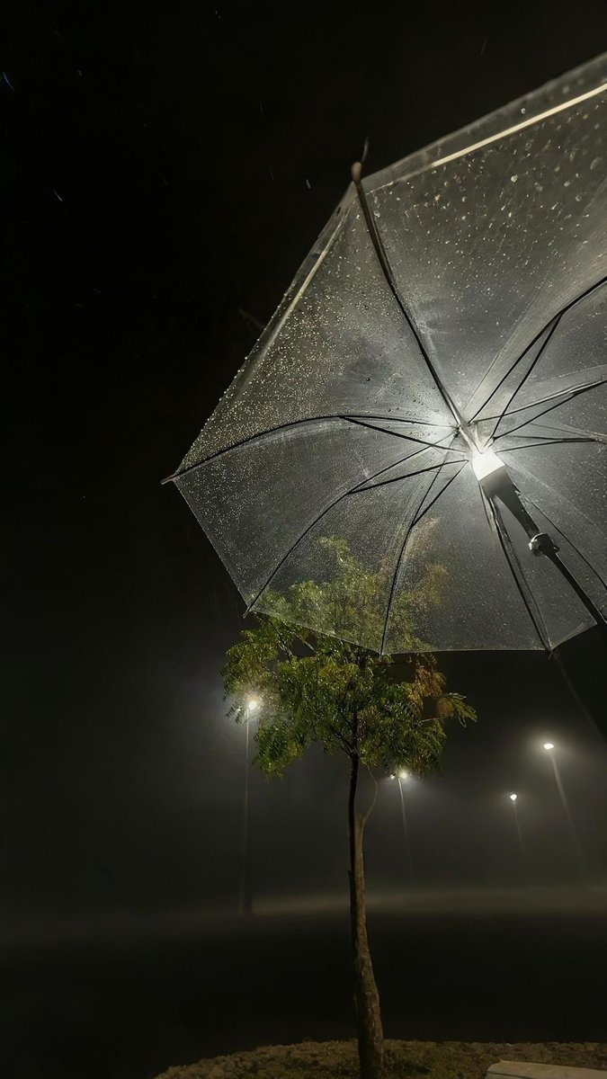 9lll_g's tweet photo. dawn and rain https://t.co/YhEgFXRI30