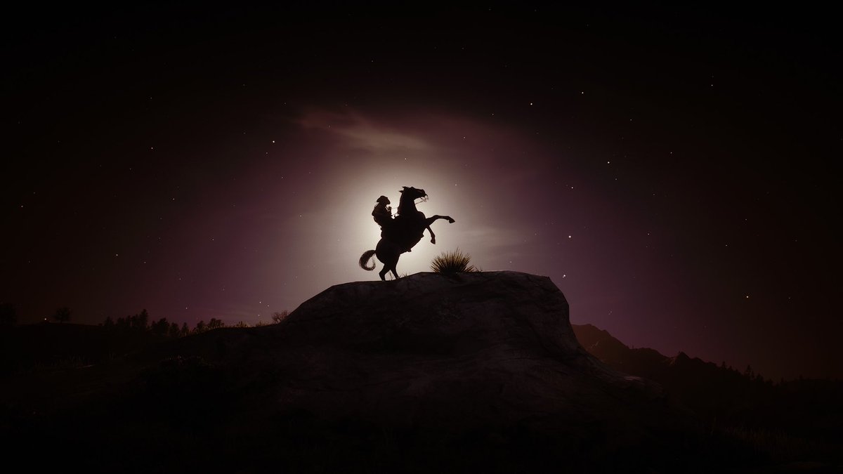 またカウボーイ生活を楽しんでいる🤠