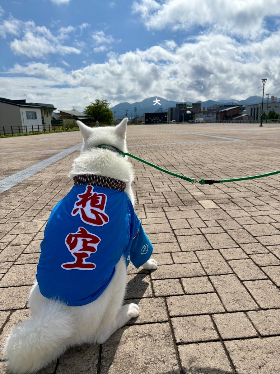 odate_akitainu's tweet photo. いよいよ本日、大館大文字祭り開催です！！✨

想空くんは秋田犬の里でお仕事を頑張りますよー！💪🏻🔥

※反射の影響でうまく写らず編集してますが、実際は大文字がはっきり見えます！

#秋田犬の里 #Akitadogvisitorcenter #akitadogs
#秋田犬 #想空
#大館 #大文字まつり #大文字 https://t.co/H2LIFAuzIR